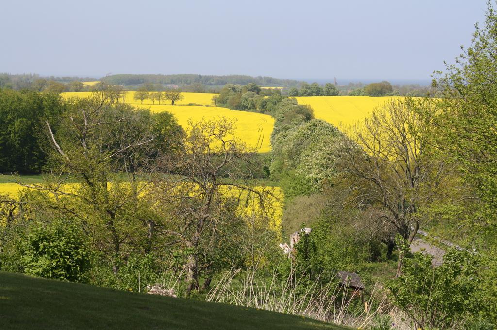 Appartamento Reethus Stoefs Behrensdorf Esterno foto
